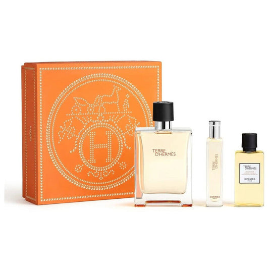 Hermes Terre D'Hermès dovanų rinkinys EDT 100 ml, mini EDT 15 ml ir After Shave 40 ml